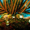 nazwa pliku: img_0643_2.jpg