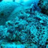 nazwa pliku: img_0757_2.jpg
