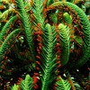 nazwa pliku: img_0842_2.jpg