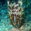 nazwa pliku: img_0919_2.jpg