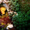 nazwa pliku: img_1542.jpg