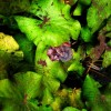 nazwa pliku: img_8364.jpg