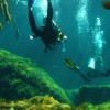 nazwa pliku: img_8617.jpg